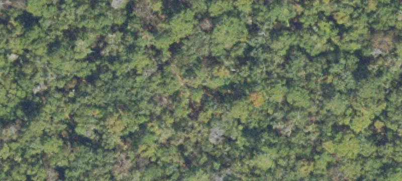 Simmons Bluff Rd