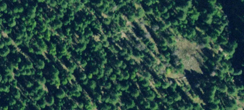 2 Bugling Elk Way
