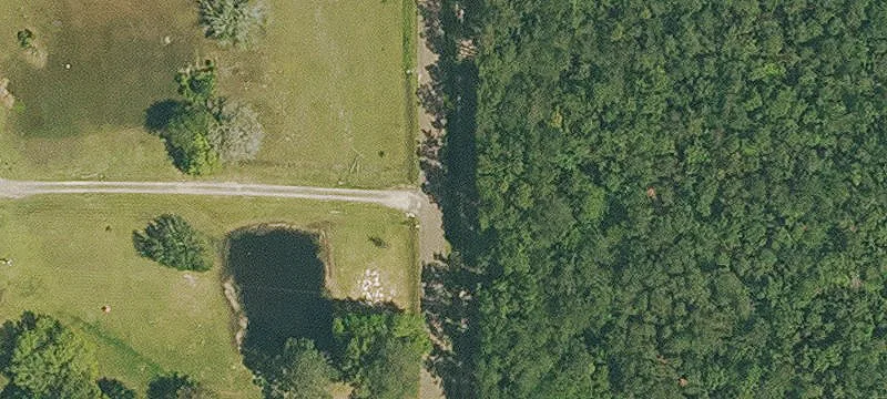 Tbd Pig Morgan Rd