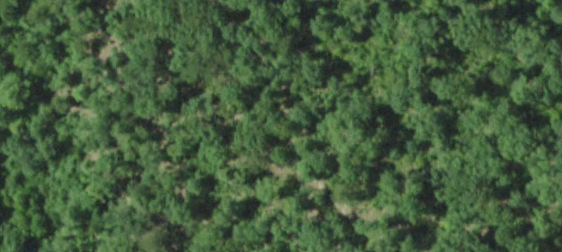 000 Cedar Frd