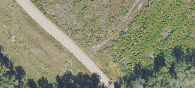 Halcyondale Loop