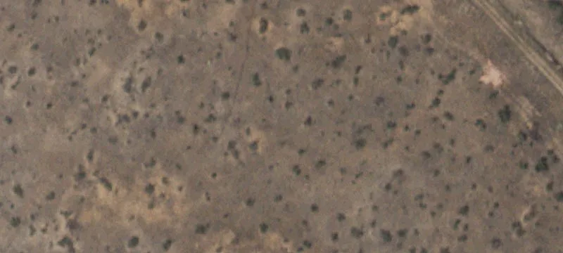 1502 Loop 250