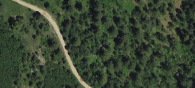 Bearlodge Ranch Rd