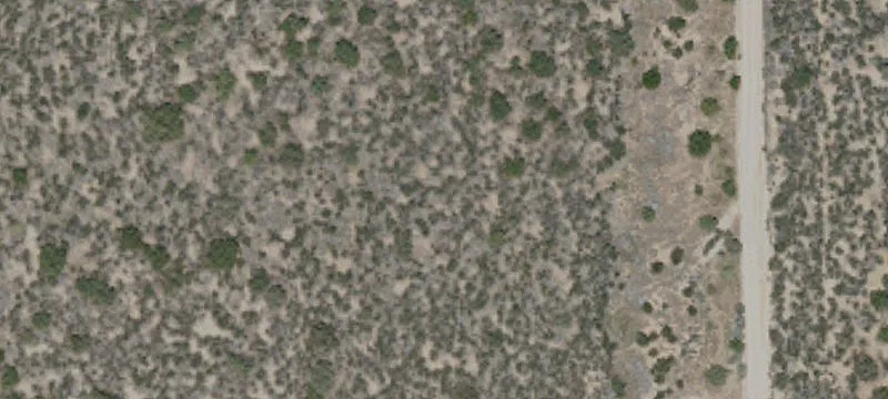 Mcconamara Dr