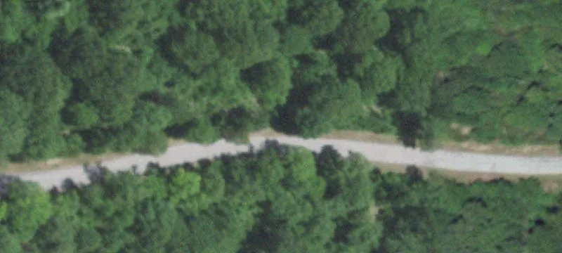 10 Hanging Branch Rdg