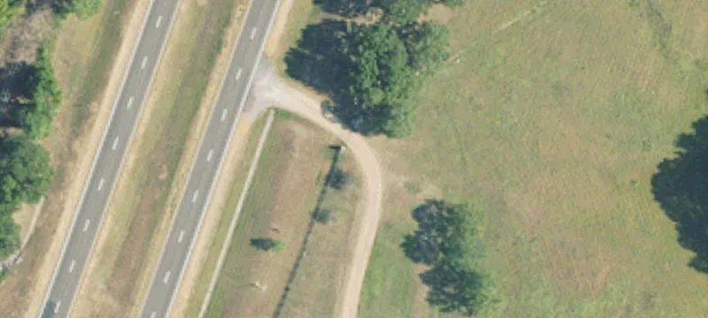 9 Forest Plantation Rd