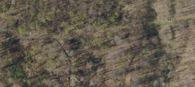 Turkey Foot Rd