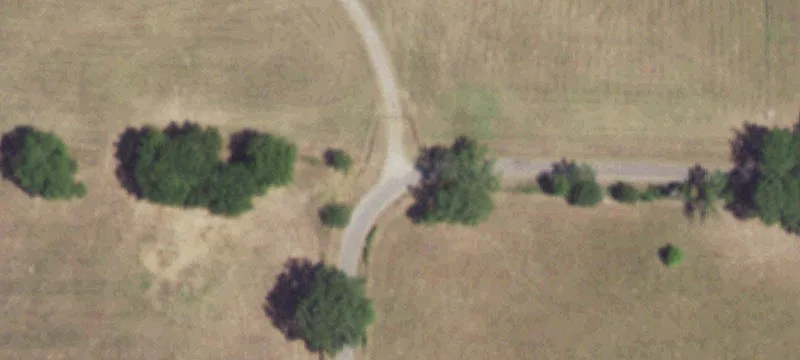 299 Brashear Texas 75420