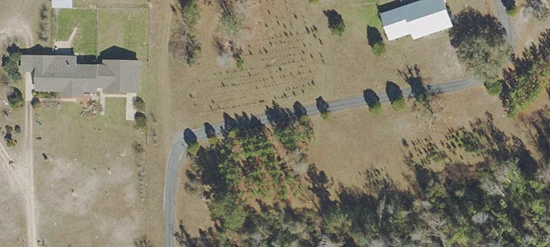 154.6 Acre Longleaf Pne Farm
