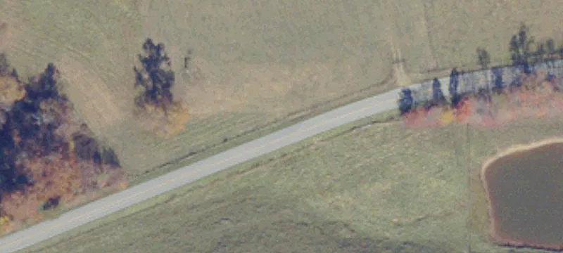 Cedar Springs Rd