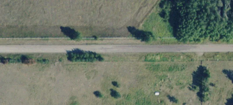 Nhn Walking Horse Ln