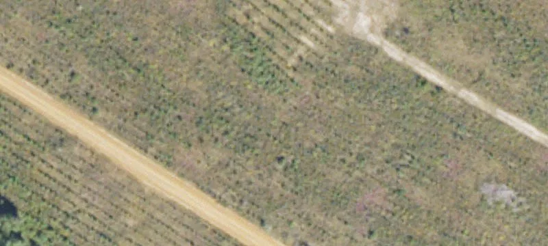 Powell School Rd