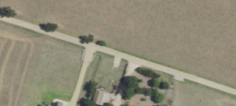 Sugar Cane Ln