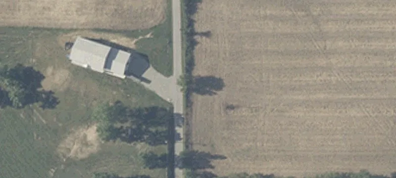 50 Bare Ground