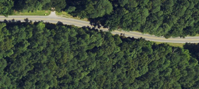 Tom Wright Rd