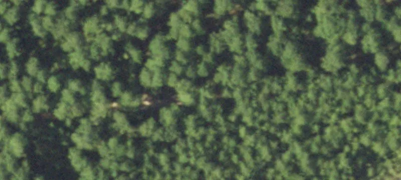 398 Co Rd