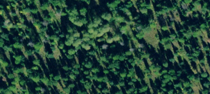468 Haskill Rnch Rd