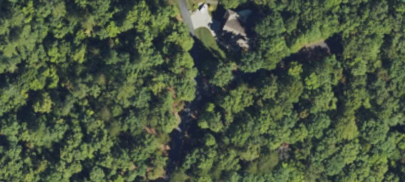21 Cricket Ln