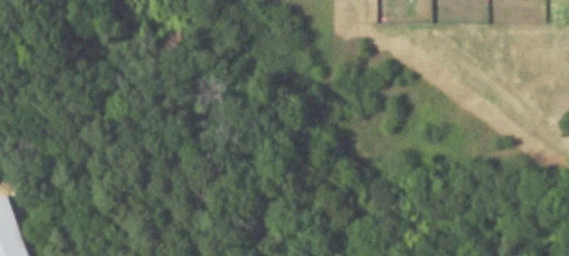 Tbd Coyote Ct