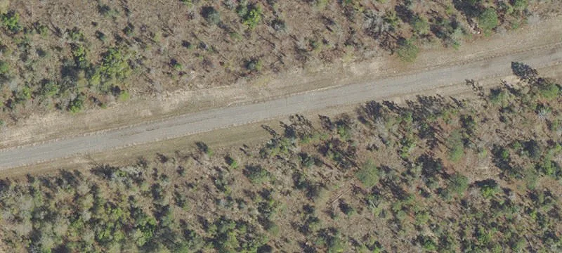 00 Chamberlain Dr