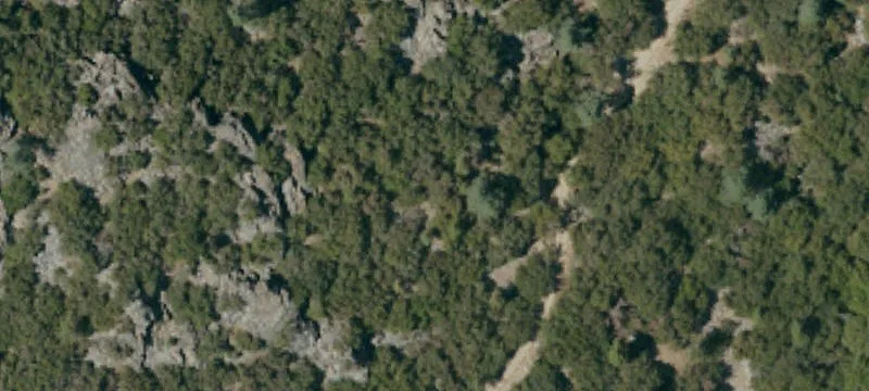Piute Pne Rd