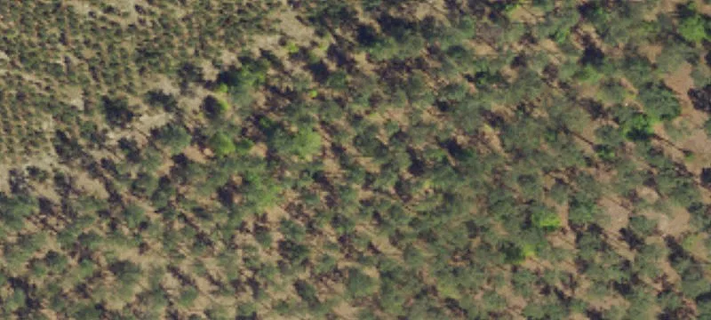 41.94 Acres Land
