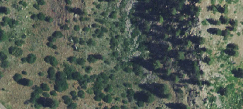 1361 Beartooth Rd