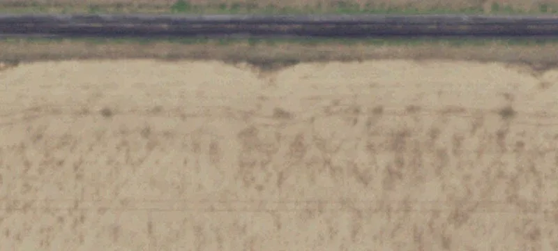8801 Fm 1573