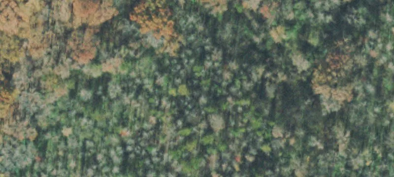 Black Hollow Rd