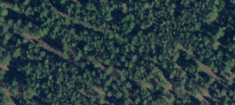 Nhn Farm Vw Ln