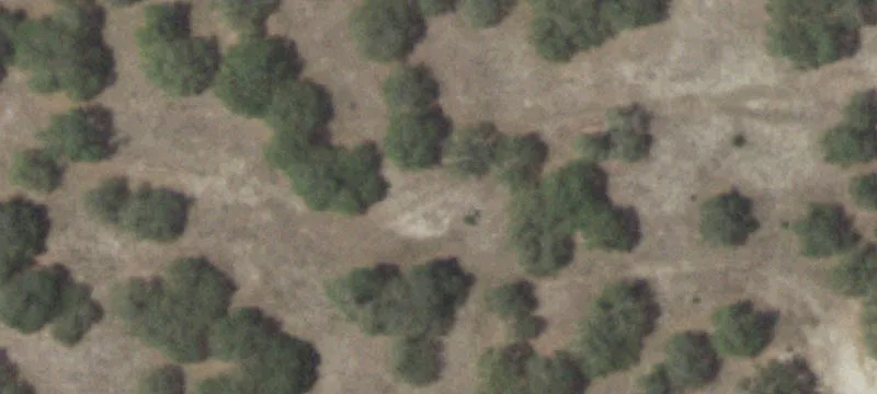 42 Waterbuck Way