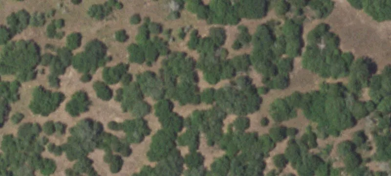1 County Road 157A