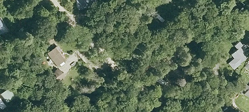 Big Buck Rd
