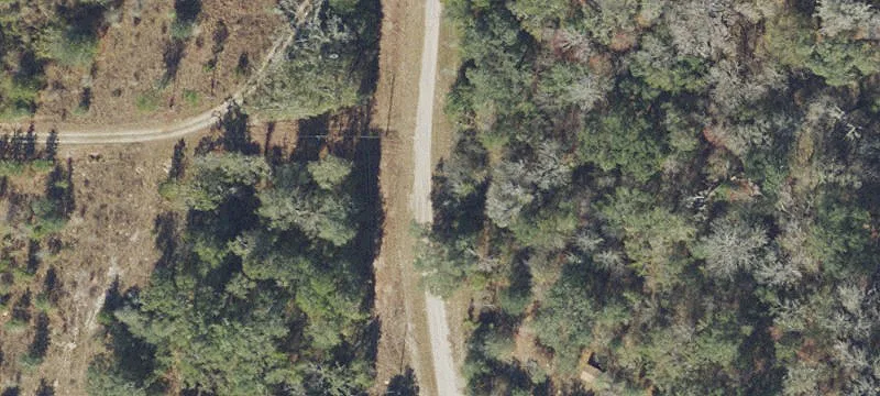 Chervil Dr