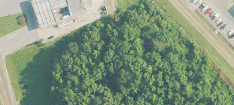 37.5 Acres In Covington County