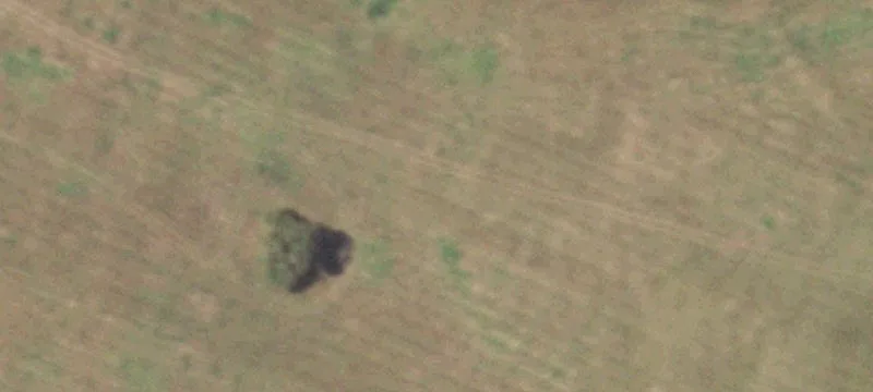 865 Co Rd