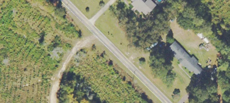 Pettigrew Rd