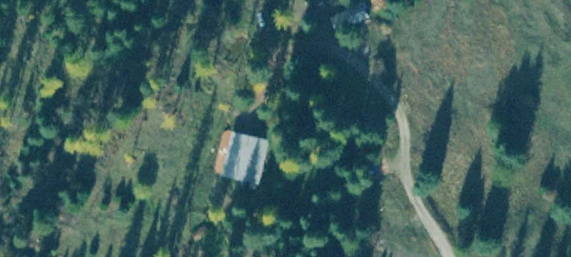 79 Fallen Bear Ln