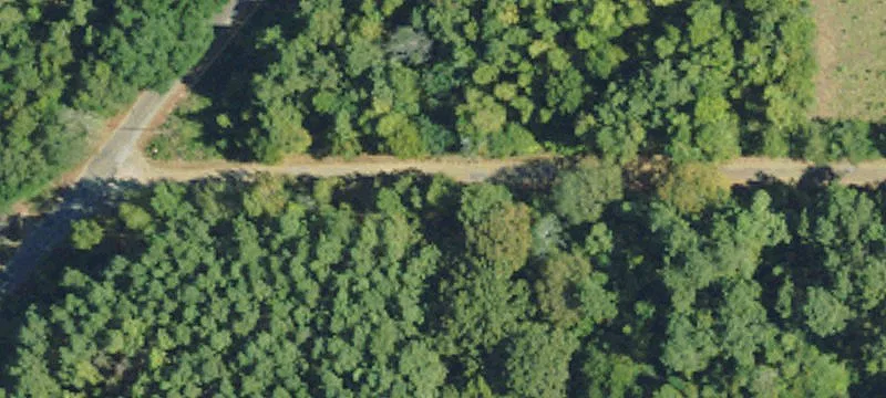 +/- 10.19 Acres In Walthall County