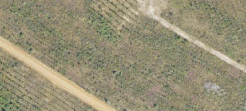 2 - Powell School Rd