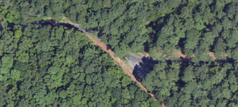 Pelahatchie Rd