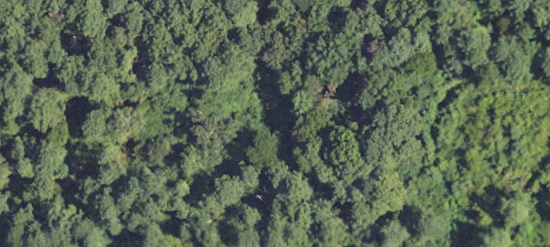 141 Acres In Scott County