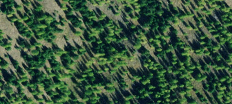 Nhn Springhill Rd