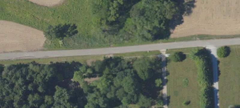 Milt Miller Rd