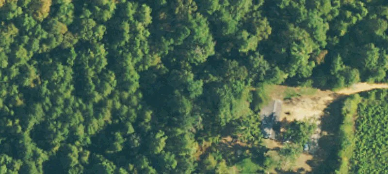 53.2 Acres