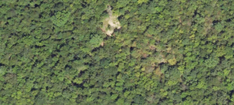 Clinton Land