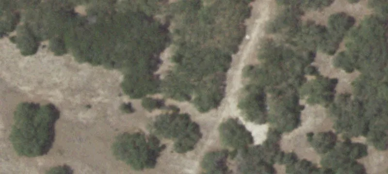 320 Waterbuck Way