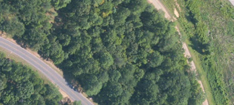 29.3 Acres In Carroll