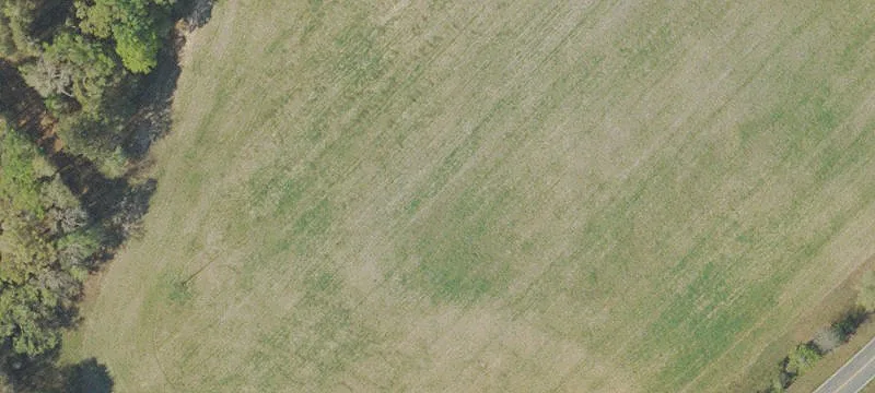 00 Highway 231