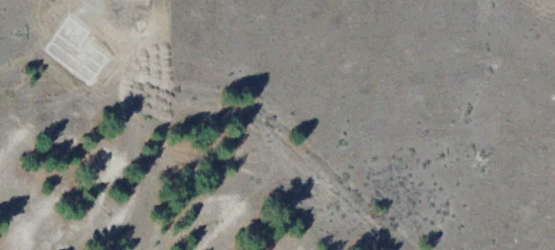 842 Sandhill Loop